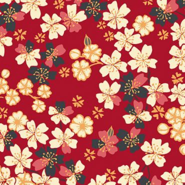  Sakura  100% coton ivoire 160cm