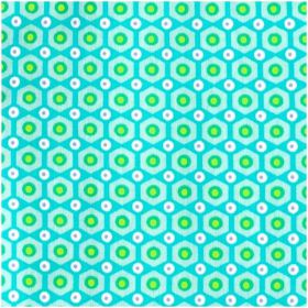 Mokko menthe coton enduit