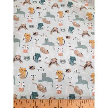 Coton chatons aqua 150cm