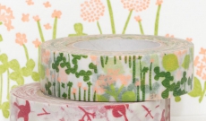 Les nouveaux Masking Tape sont arrivés...